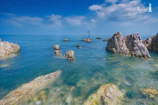 小红帽的冒险之旅