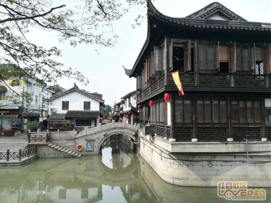 逃离椰子岛